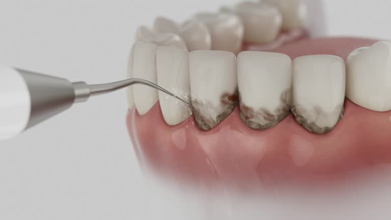 Reliable Dental contractor in Winchester, MO by Dentist Open Now